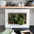 FRESH SPEED Self-Watering Wall Planters with 8-Hole Grow Sponges by FRESHSPEED