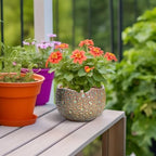 Ceramic Plant Pots - 6 Inch Plant Pot with Drainage Hole and Plug, Unique Planter for Indoor Plants Outdoor, Modern Planter, Round Orchid Pot, Room Decor, House Warming Gifts, Speckled-brown - Image 4
