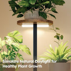 Homsorout Plant Stand Indoor with Grow Light,4-Tiered Tall Plant Stand Indoor, Metal Plant Shelf with Adjustable Light, Ideal for Living Room, Garden, Patio (Black Brown) - Image 3