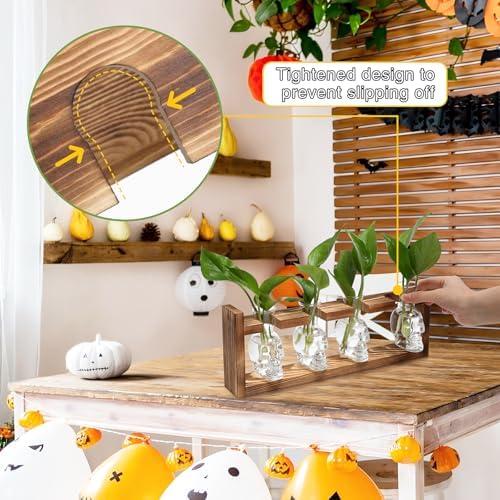 Plant Propagation Stations Halloween Skull Plant Terrarium Kit - Image 2
