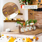 Plant Propagation Stations Halloween Skull Plant Terrarium Kit - Image 2