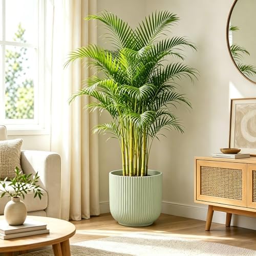 Set of 3 Ceramic Flower Pots, 6+7+9 Inch Plant Pot with Drainage Holes, Garden Flower Pot Succulent Herbs Succulent Orchid Pot Indoor Outdoor Home Garden Decor, Green - Image 5