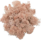 200g Artificial Moss for Crafts, Faux Decorative Plant for DIY Walls Wedding Party Table Centerpieces Home, Khaki by LKXHarleya
