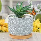 Leopard Light Dot Planters Ceramic African Tribal Animal Print Round Flower Pot with Drainage Holes and Bamboo Tray Pot for Home Office Desk Garden - Image 6