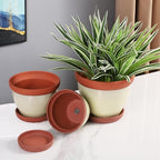 Yishang Glazed Terracotta Pots with Saucers, Set of 3, 5", 6", and 7" Sizes, Ceramic Clay Planter Pots with Drainage Holes - Yellow - Image 5