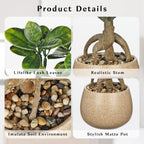 Artificial Bonsai Tree Fake Small Bay Plant with Ceramic Pot Indoor Bonsai - Image 3