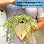 LaLaGreen Bundle- 2 Pack, 12 Inch White Geometric Self Watering Pot + 7 Pack, Small Medium Large Planter Rectangular Window Plastic Boxes Plant Herb Flower Holder Modern Stylish Hanging Indoor Decor - Image 3