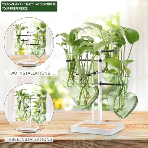 Plants Propagation Stations Plant Terrarium Kit Gift for Women - Image 3