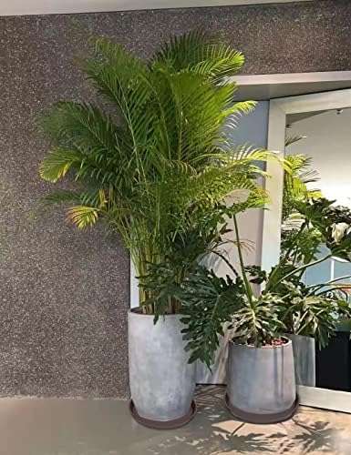 2 Pack of 16 17 inch Plant Saucer (15 inch Base), 2.3" Depth, Plant Trays for Pots, Plastic Plant Saucers for Indoors, Flower Pot Drip Trays for Planter (17", Dark Brown) - Image 4