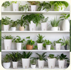 Ziliny 18 Pcs Self Watering Pots Plastic Plant 3 Sizes Flower Plant Pot with Inner White Flower Pots for Indoor House Plants Plastic Self Watering Pot for Herbs Flowers (Xs,S,M) - Image 6