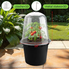13 Inch Humidity Domes Garden Cloches for Plant Protection, Plant Covers Freeze Protection, Protectors from Animals, Garden Clear Plant Cover with Ventilation Holes 10 Pack - Image 2