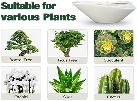 Bonsai Planter Pot - 12 Inch Ceramic Plant Pot for Indoor Plants Outdoor Decorative Flower Pot Succulent Planter with Drainage Hole Gray - Image 7