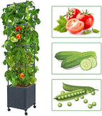 LINEX Raised Garden Bed Planter Box with Trellis, 56.7” Tomato Planters for Climbing Plants Vegetable Vine Flowers Outdoor Patio, Tomatoes Cage w/Self-Watering & Wheels - Image 2