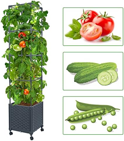 LINEX Raised Garden Bed Planter Box with Trellis, 56.7” Tomato Planters for Climbing Plants Vegetable Vine Flowers Outdoor Patio, Tomatoes Cage w/Self-Watering & Wheels - Image 2