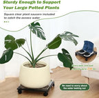 3 Packs 12" Metal Square Plant Caddy with Wheels Large Iron Rolling Plant Stand with Casters Heavy-Duty Plant Dolly Coaster Plant Pot Mover Roller Base for Indoor Outdoor, Black - Image 4