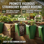 20 Pcs Strawberry Propagation Cups,Strawberry Rooting Cup Kit with Runner Forks Green Plastic Propagation Cups with Hook,Hanging Transplant Grow Station for Garden Greenhouse Balcony Planting (50 S) - Image 2
