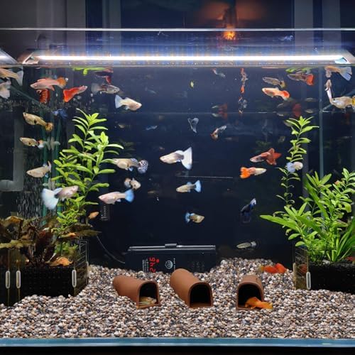 15lb Small Pebbles, 3/8 Inch Polished Plant Rocks for Pots Indoor - Image 4