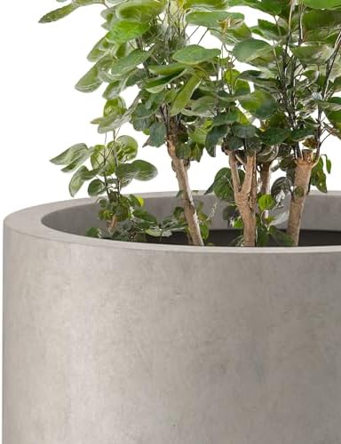 Kante 24 Inch Tall Concrete Planter, Outdoor Indoor Large Plant Pots with Drainage Hole and Rubber Plug for Home Garden Patio Porch Smooth Distressed Cement - Image 7