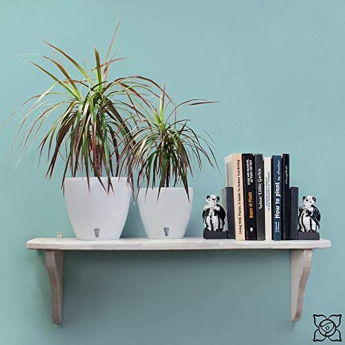 Gardenera 6.7" Deco Self Watering Pots for Indoor Plants in Lime (Set of 3) - Decorative Flower Pot with Water Level Indicator and Drainage Cartridge for All House Plants, Flowers and Herbs - Image 5