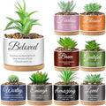9 Set Christain Artificial Succulent Plants in Pots Gifts Mini Bible by Unknown