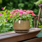 G EPGardening 6 Inch Plant Pot - Ceramic Succulent Pots with Drainage and Ceramic Tray, Round Planter for Indoor Outdoor Plants, Decorative Flower Pots, Home Decor, Gift for Women Men, Speckled Brown - Image 4