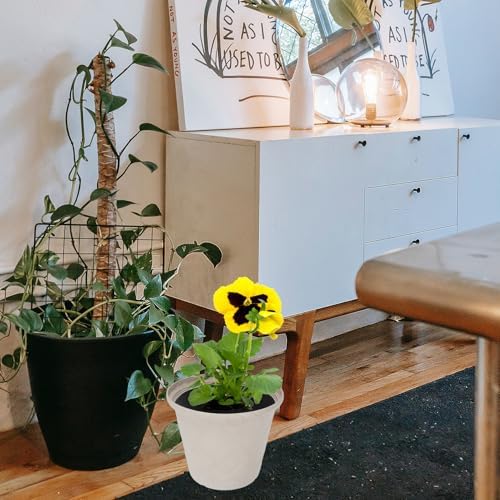 Vintage Textured Resin Flower Pot Outdoor Planter with Unique Roman Pattern Decorative Balcony Plant Container for Indoor and Outdoor Use Easy Maintenance - Image 7