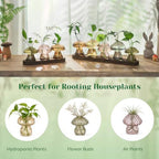 Hewory Plant Propagation Stations: 5PCS Amber Mushroom Vase with Wood Tray - Image 6