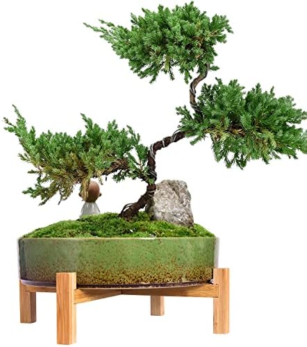 ARTKETTY Bonsai Pots, 11 Inch Large Succulent Pots with Drainage by ARTKETTY