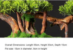 Artificial Bonsai Tree with Ceramic Pot - Fake Indoor Plant for Home Office Desk and Table Decoration - Perfect Potted Bonsai Decor for Any Space - Image 2