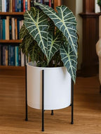 D'vine Dev Plastic Planter Pot with Metal Stand, White, 12 in, 55-D-A-3 - Image 6