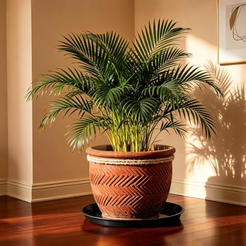 6 Pack 20 inch Plant Saucers for 17.5 inch Planters, Modern Matte Finish 18 20 22 25 inch Flower Pot Drip Tray Base for Indoors Outdoors, Heavy Duty Plant Trays to Catch Water, Black - Image 6