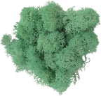 100g Artificial Moss for Crafts, Faux Decorative Plant for DIY Walls Wedding Party Table Centerpieces Home, Light Green by LKXHarleya