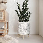 EverNest Tristan Neutral Minimal White and Black Modern Style Planter with Nyra Stand, SelectBase Plant Pots, Indoor Planter, Boho Home Decor, Minimalist Pot for Plants (Set of 3, Gold) - Image 5