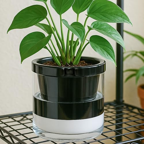 D'vine Dev Self-Watering Black Terracotta Planter Pot, 8 in, 37-X-C-3 - Image 5