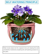 Self Watering Pot for African Violets Indoor Outdoor Plants, 6 inch, Pink - Image 5