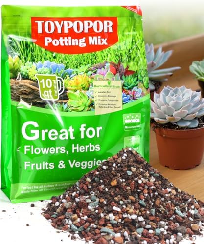 TOYPOPOR Succulent Soil, Cactus Potting Mix 12.5 Pounds/10QTS, High Drainage, Pre-Mixed Ready to Use for All Succulent Varieties, Indoor Plants, Bonsai, Terrarium, Houseplant, 30% Particles 70% Soil by TOYPOPOR