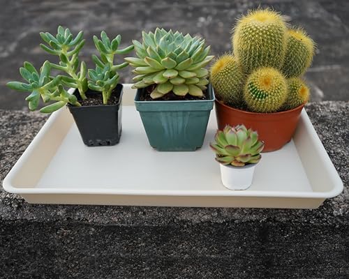 VUWEZ 2 Pack Plant Growing Nursery 1020 Trays, Plant Saucer Tray, Heavy Sturdy Seed Starting Trays, Plant Starter Trays for Indoors No Holes, Seed Starter Growing Tray (22"x11.2", Beige) - Image 6