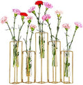 Geometric Vase Gold Hinged Esmiome - Vases for Centerpieces with 5 Test Tubes, Geometric Decor Metal Frame can be Bent, Geometric Vases Wire Propagation Station Plant Holder Modern for Wedding, Home by Esmiome