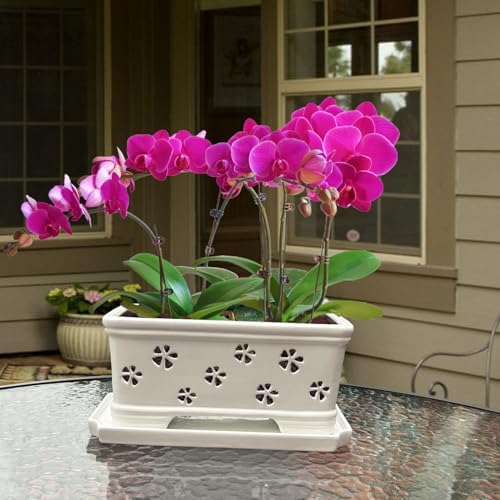 Rectangle Ceramic Orchid Pot with Holes and Saucer 12Inch Ceramic Large Pot Basin for Refilling Indoor and Outdoor Use Air Circulation Orchid Planter for Repotting Planter White - Image 3