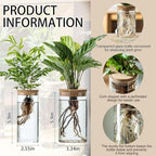 Propagation Vases for Plants, Set of 8(4 Large & 4 Small) Glass Plant Propagation Stations, Plant Propagation Jars for Home Office Windowsill Tabletop Decoration (8) - Image 2