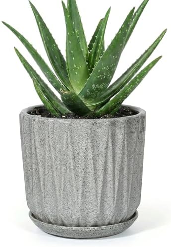 7.5 Inch Ceramic Planter Pot with Saucer Drainage Leak-Proof Mesh,Flower Pots for Indoor Plants with Gardening Gloves,Ceramic Planter(Stone Grey) by Unknown