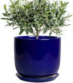8 Inch Ceramic Plant Pot - Decorative Round Planter for Indoor Plants with Drainage Hole and Saucer, Home House Room Office Garden Decor, Blue by SUNPOTFOR