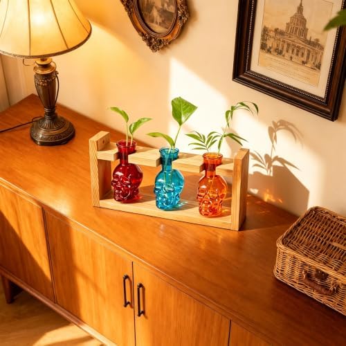 Plant Propagation Station with Skull Glass Vases, 3 Propagation Tubes in Wooden Stand, Hydroponic Decor for Home(Color4) - Image 3