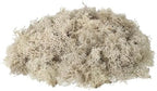 uxcell Preserved Reindeer Moss, 17.6oz Fake Moss for Crafts Artificial Dried Moss for Decoration Terrariums Potted Plants, Cream by uxcell