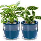 D'vine Dev Self-Watering Blue Terracotta Planter, 6 in, 2-Pack, 37-Y-B-4 by DvineDevPlanterPotsandStand