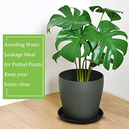 Eccliy 12 Pcs Plastic Plant Saucers Tray, Black, 16 Inch, Round - Image 6