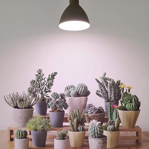 Smart LED PAR38 Grow Light, Dimmable, Sun Mode Dimming - Mimics Real Sunshine, Daily Run Auto Timer, Remote Control - Full Spectrum for Indoor Plant Growth - Image 7
