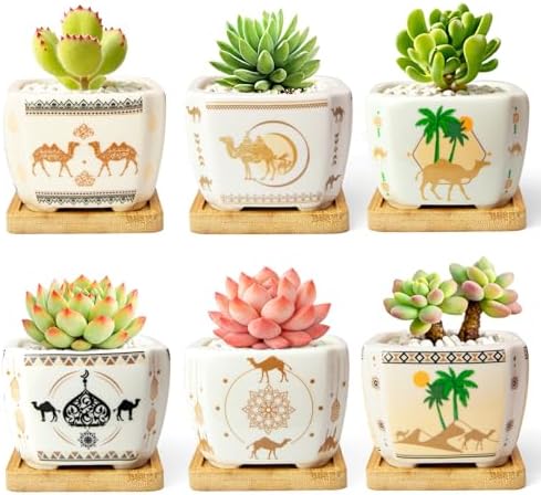 Succulent Pots with Drainage, 3.2" Small Plant Pots with Bamboo Trays, Ceramic Pots for Indoor Plants, Cactus Pots, Mini Succulent Planters for Home Garden Decor, Set of 6 by celamos