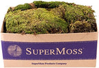 SuperMoss (21537) Mood Moss – Natural Moss for Home Decor, Terrariums, Floral Arrangements, and Craft Projects, 1,564 cu in, Dried by SuperMoss