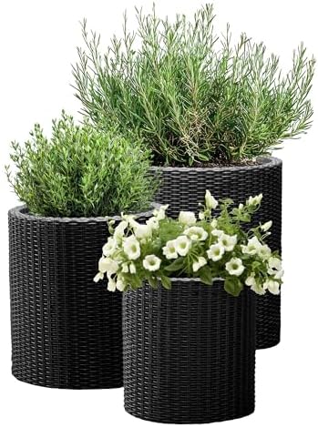 Keter Cylinder Set of 3 Rattan Resin Planter for Indoor and Outdoor Plants Ideal Decorative Planter for Porches and Patio Decor, Black by Unknown